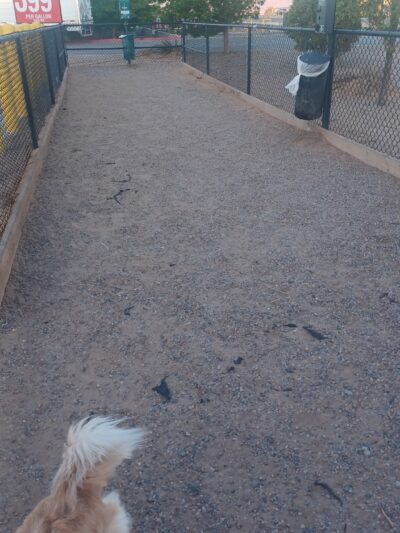 Dog Park at Love’s Travel Stops - Albuquerque, NM