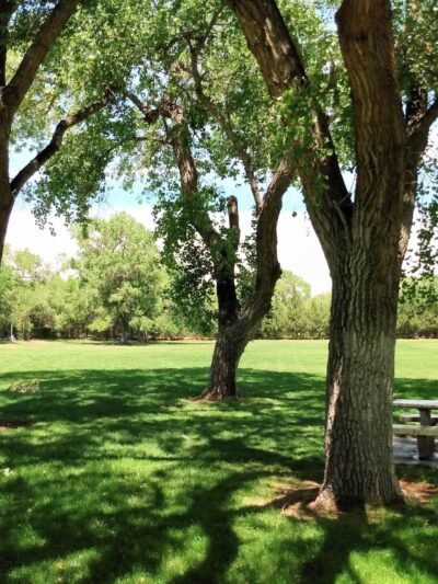 Garfield Park - Albuquerque, NM