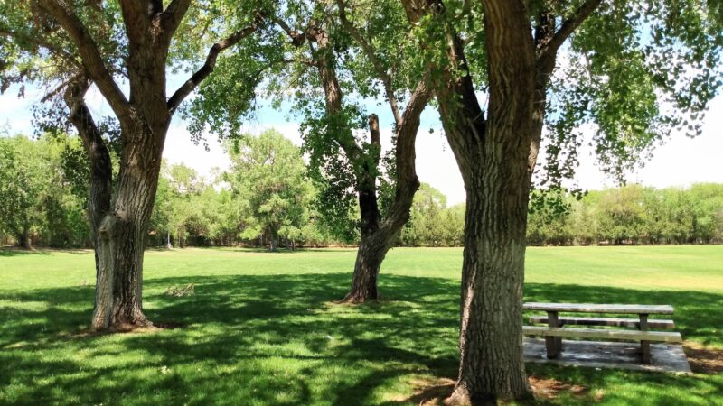 Garfield Park - Albuquerque, NM