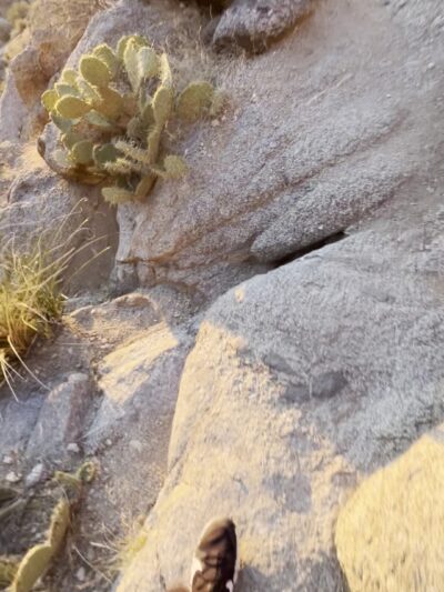 Granite Face on Whitewash Trail - Albuquerque, NM