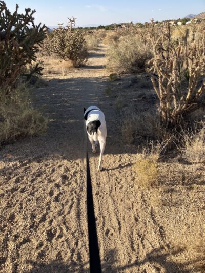 Hilldale Loop Trailhead - Albuquerque, NM