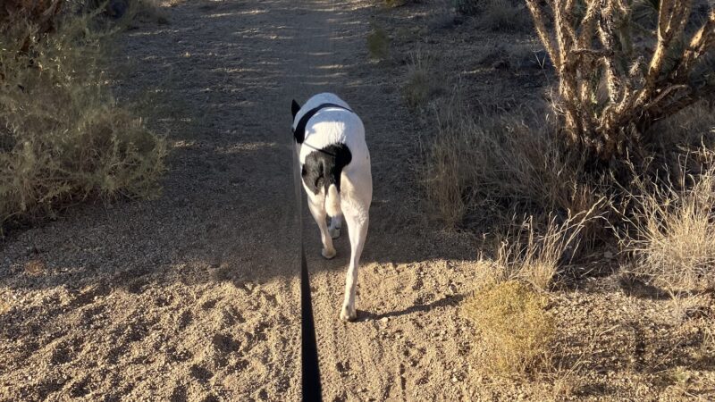 Hilldale Loop Trailhead - Albuquerque, NM