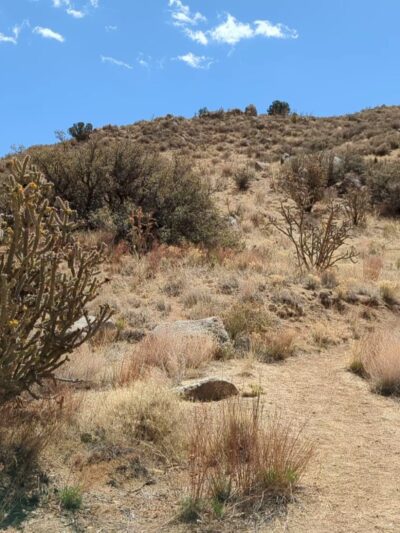 Hilldale Loop Trailhead - Albuquerque, NM