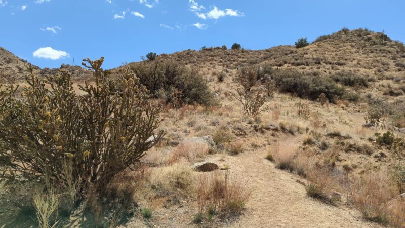 Hilldale Loop Trailhead - Albuquerque, NM