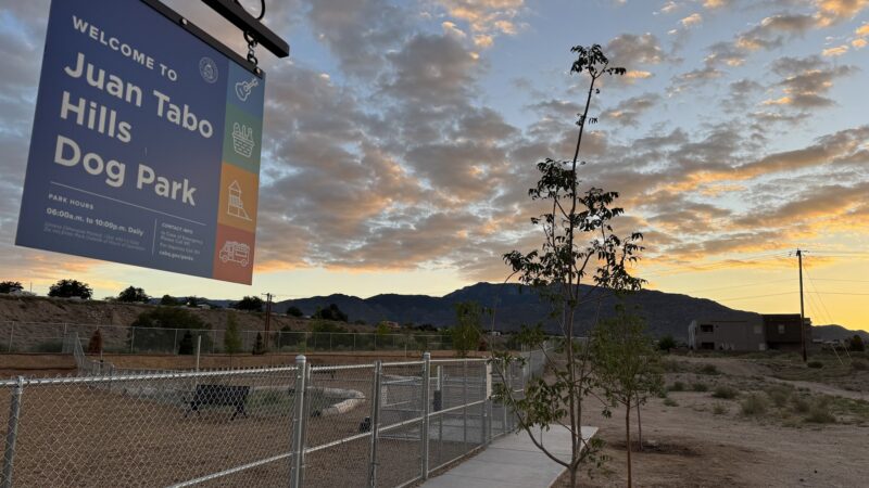 Juan Tabo dog park - Albuquerque, NM