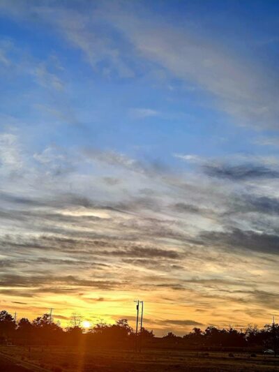 Kirtland Dog Exercise Area - Albuquerque, NM