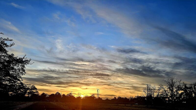 Kirtland Dog Exercise Area - Albuquerque, NM