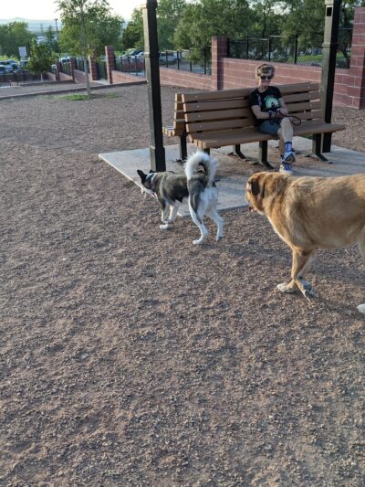 Kirtland Dog Park - Albuquerque, NM