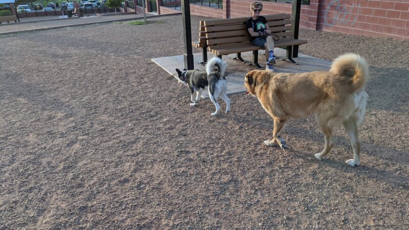 Kirtland Dog Park - Albuquerque, NM