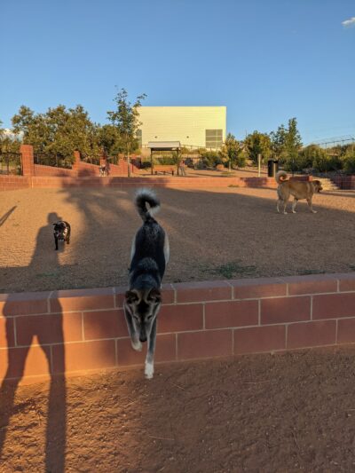 Kirtland Dog Park - Albuquerque, NM
