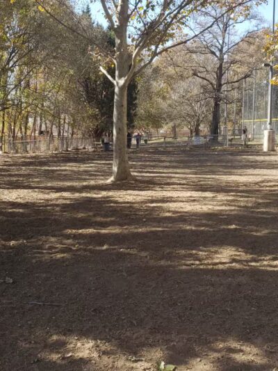 Los Altos Park - Albuquerque, NM