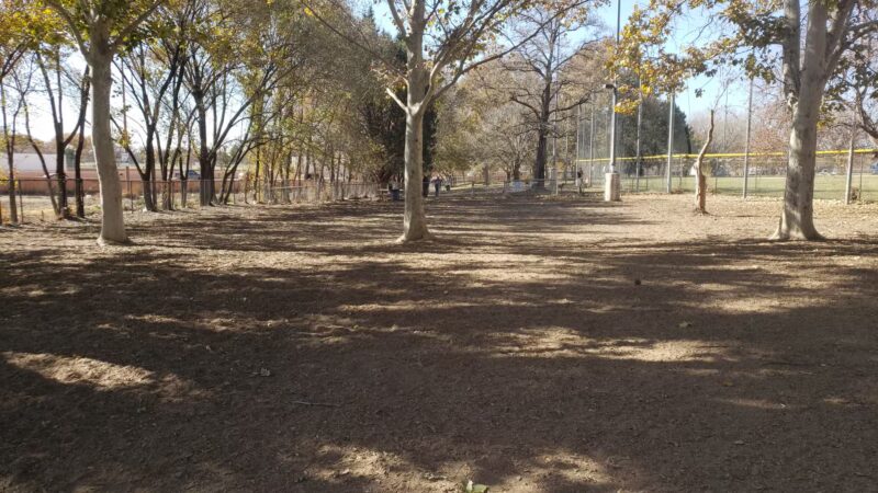 Los Altos Park - Albuquerque, NM