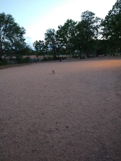 Los Altos Park - Albuquerque, NM