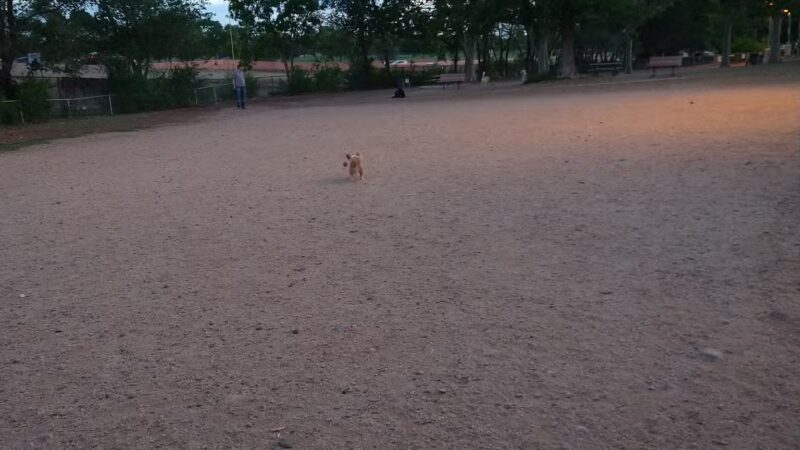 Los Altos Park - Albuquerque, NM