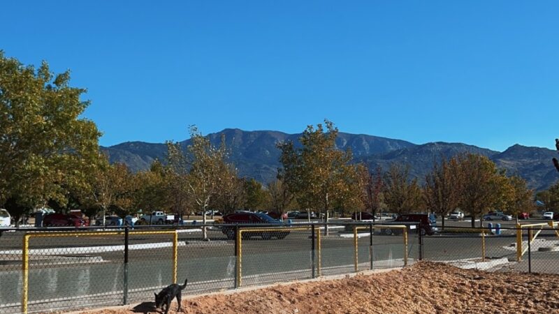 Manzano Mesa Dog Park - Albuquerque, NM