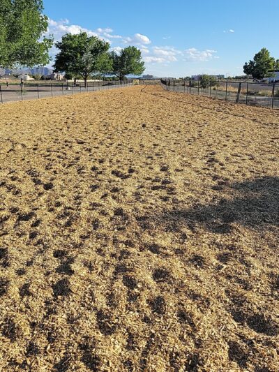 Manzano Mesa Dog Park - Albuquerque, NM
