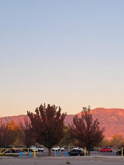 Manzano Mesa Dog Park - Albuquerque, NM