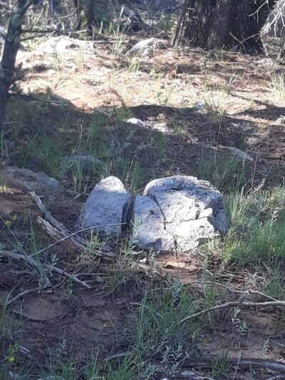 Montessa Dog Park - Albuquerque, NM