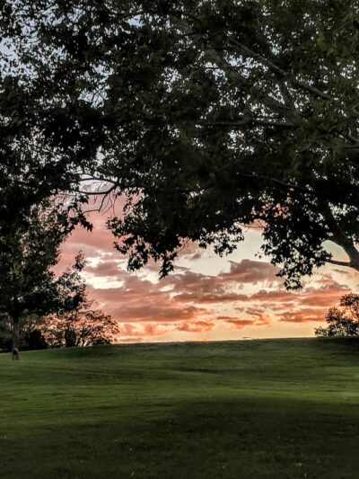 Netherwood Park - Albuquerque, NM