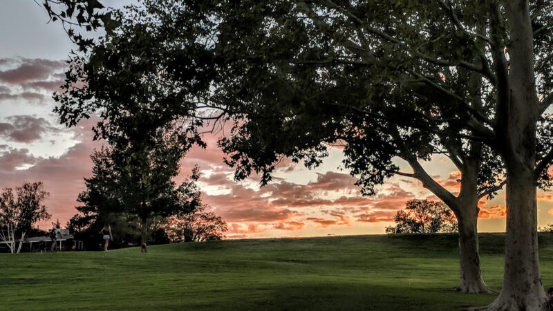 Netherwood Park - Albuquerque, NM