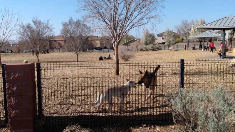 North Domingo Baca Dog Park - Albuquerque, NM
