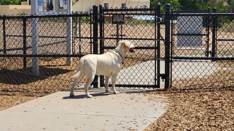 Ouray Dog Park - Albuquerque, NM