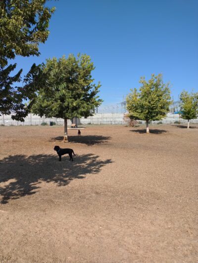 Ouray Dog Park - Albuquerque, NM