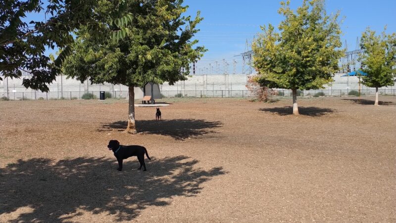 Ouray Dog Park - Albuquerque, NM