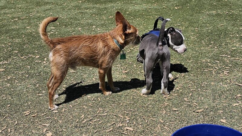 Rio Grande Triangle Park - Albuquerque, NM