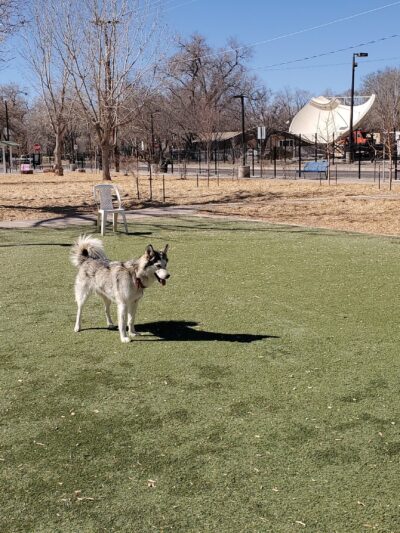 Rio Grande Triangle Park - Albuquerque, NM