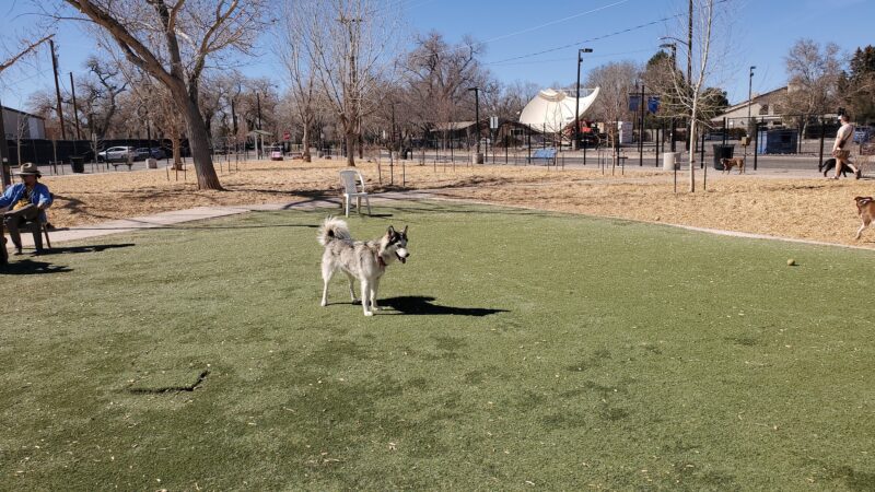 Rio Grande Triangle Park - Albuquerque, NM