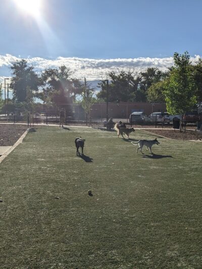 Rio Grande Triangle Park - Albuquerque, NM