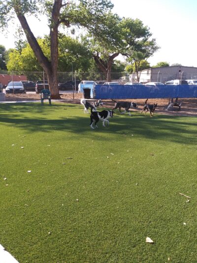Rio Grande Triangle Park - Albuquerque, NM