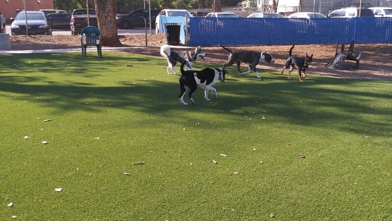 Rio Grande Triangle Park - Albuquerque, NM