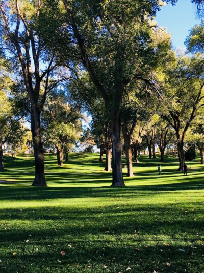 Roosevelt Park - Albuquerque, NM