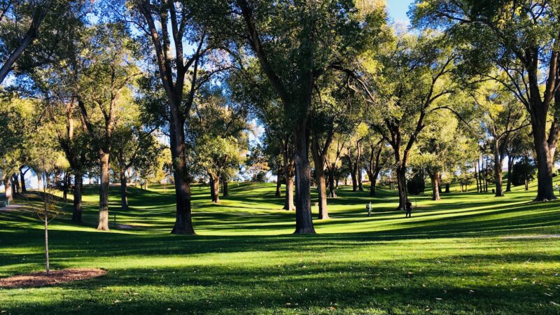 Roosevelt Park - Albuquerque, NM