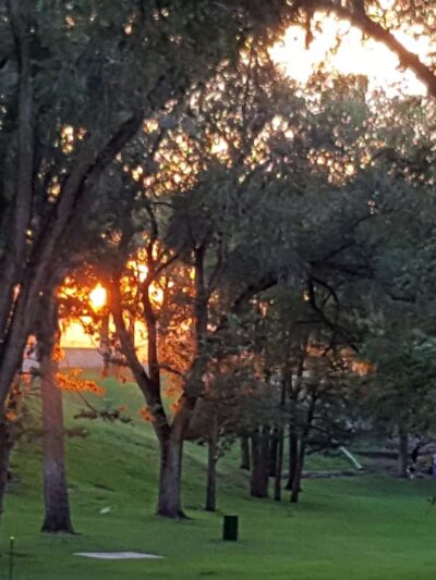 Roosevelt Park - Albuquerque, NM