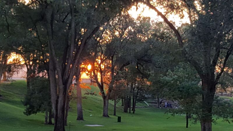 Roosevelt Park - Albuquerque, NM
