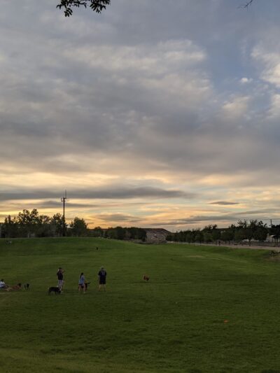 Santa Fe Village Dog Park - Albuquerque, NM