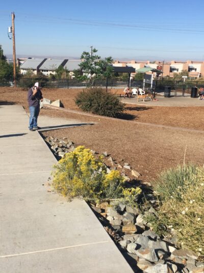 Skyline Dog Park - Albuquerque, NM