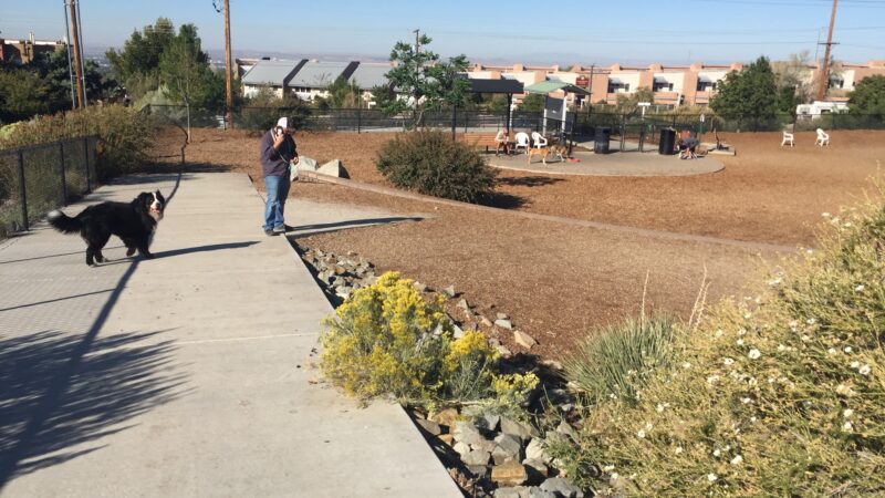 Skyline Dog Park - Albuquerque, NM