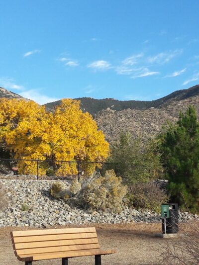 Skyline Dog Park - Albuquerque, NM