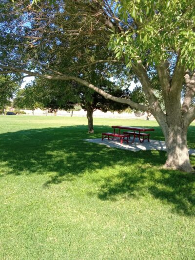 Stardust Skies Park - Albuquerque, NM