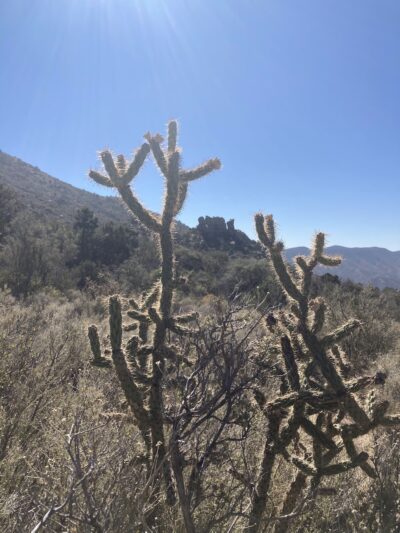 Three Guns Spring Trailhead - Albuquerque, NM
