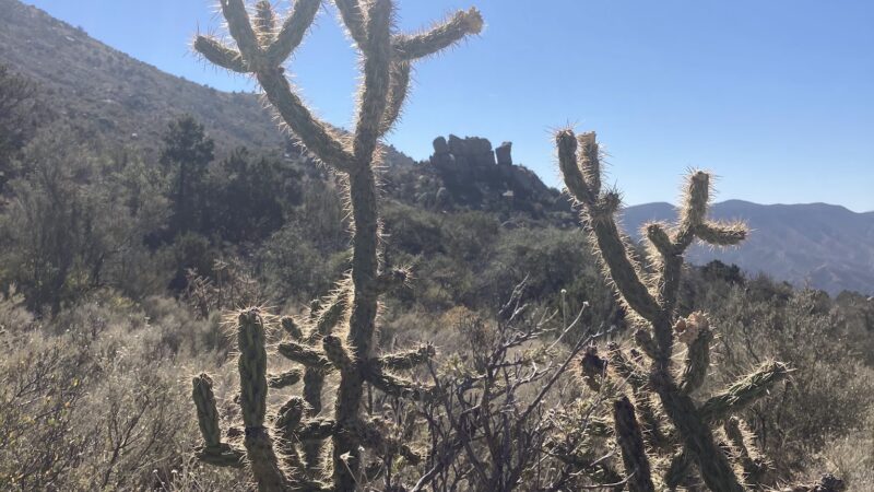 Three Guns Spring Trailhead - Albuquerque, NM