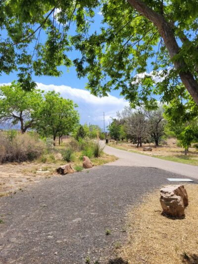 Tom Bolack Dog Park (Small & Large Dog Parks) - Albuquerque, NM