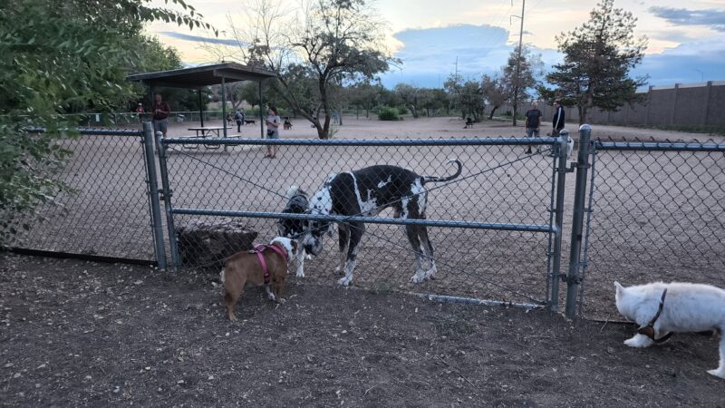 Tom Bolack Dog Park (Small & Large Dog Parks) - Albuquerque, NM