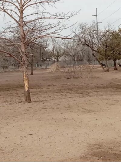 Tom Bolack Dog Park (Small & Large Dog Parks) - Albuquerque, NM