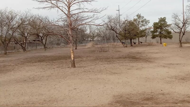Tom Bolack Dog Park (Small & Large Dog Parks) - Albuquerque, NM