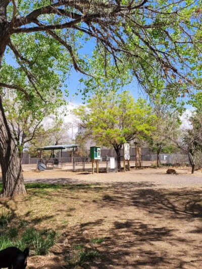 Tom Bolack Dog Park (Small & Large Dog Parks) - Albuquerque, NM